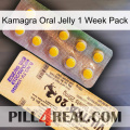 Kamagra Oral Jelly 1 Week Pack new06